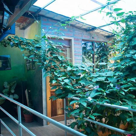 Hostal Los Farolitos Миндо Экстерьер фото