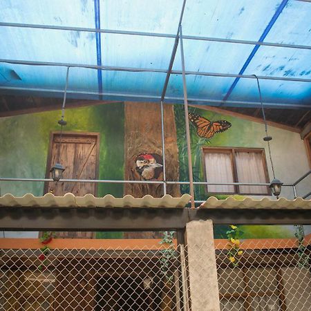 Hostal Los Farolitos Миндо Экстерьер фото