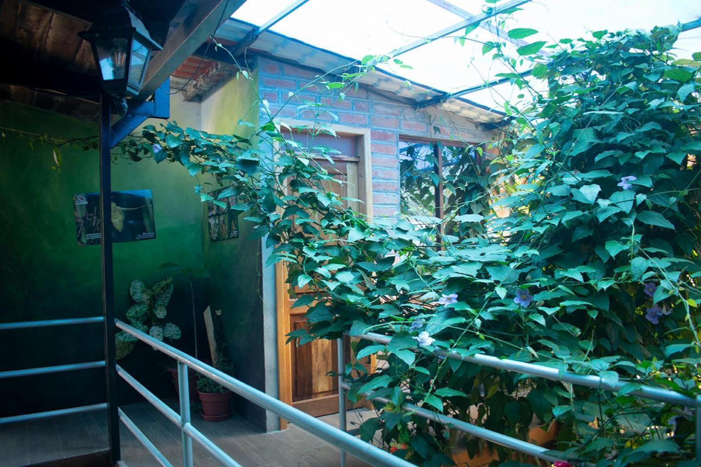 Hostal Los Farolitos Миндо Экстерьер фото